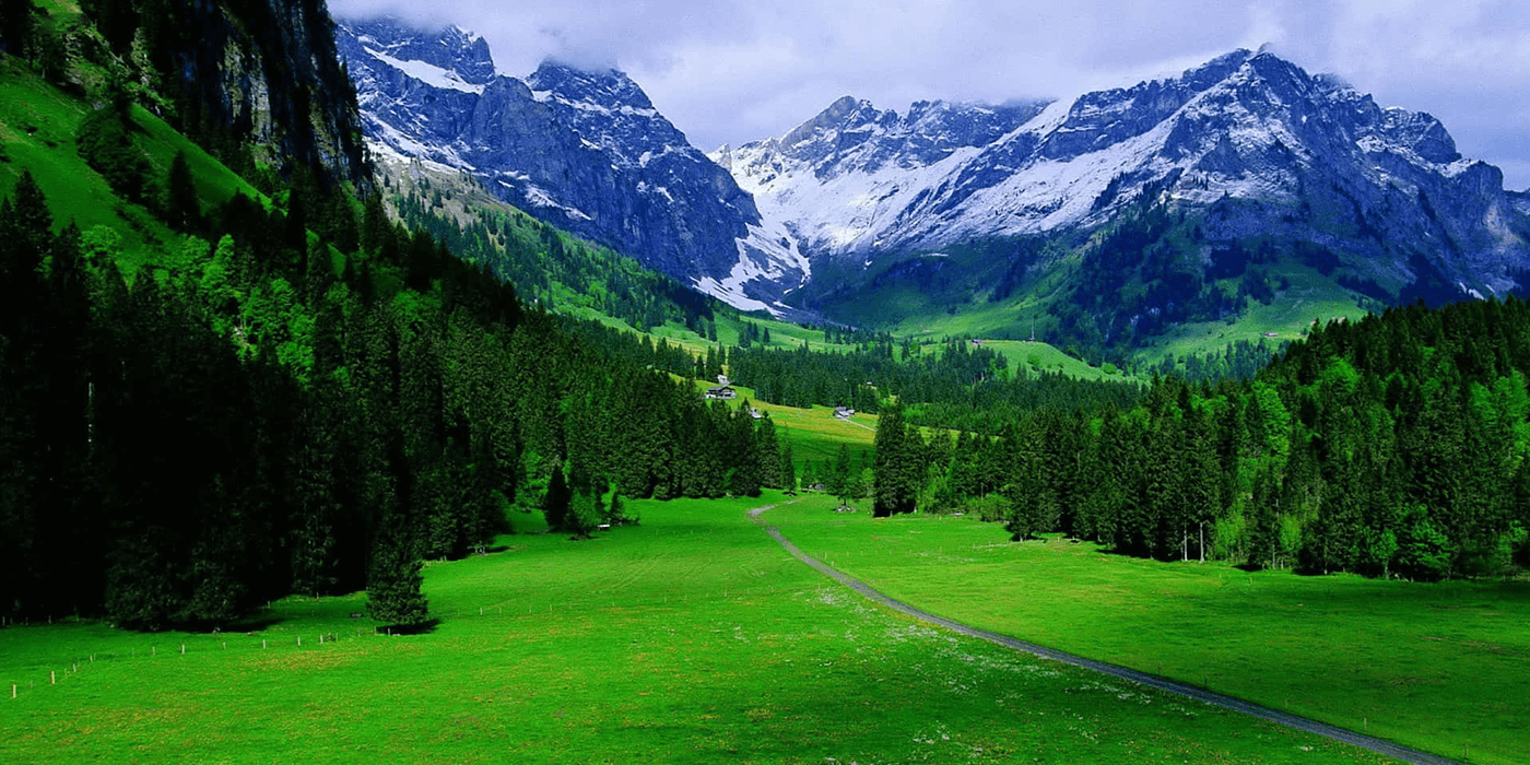 Dongguan Kingjet Printers Consumables Co., Ltd.