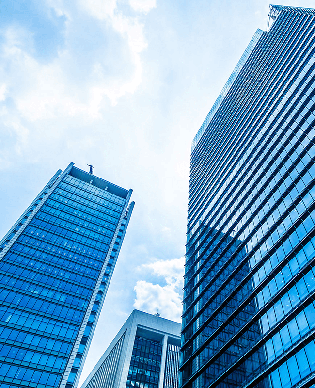 Rapid market response and efficient adaptability